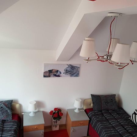 Lux Apartments With Pool Dex Zemun Polje Rum bild