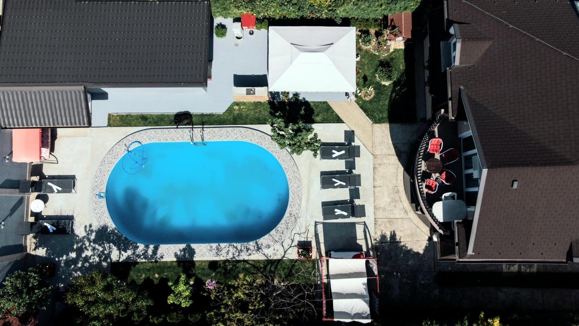 Lux Apartments With Pool Dex Zemun Polje Exteriör bild
