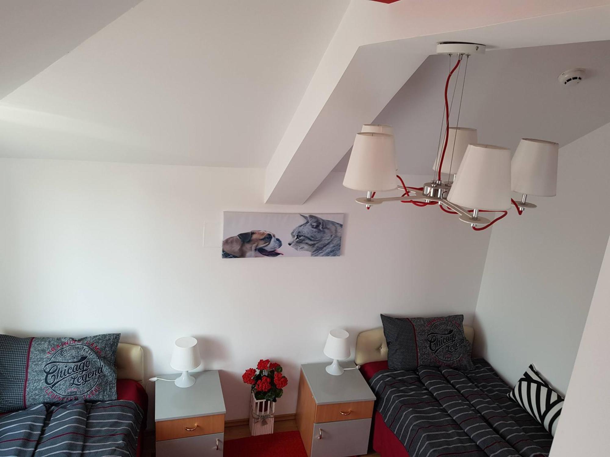 Lux Apartments With Pool Dex Zemun Polje Rum bild